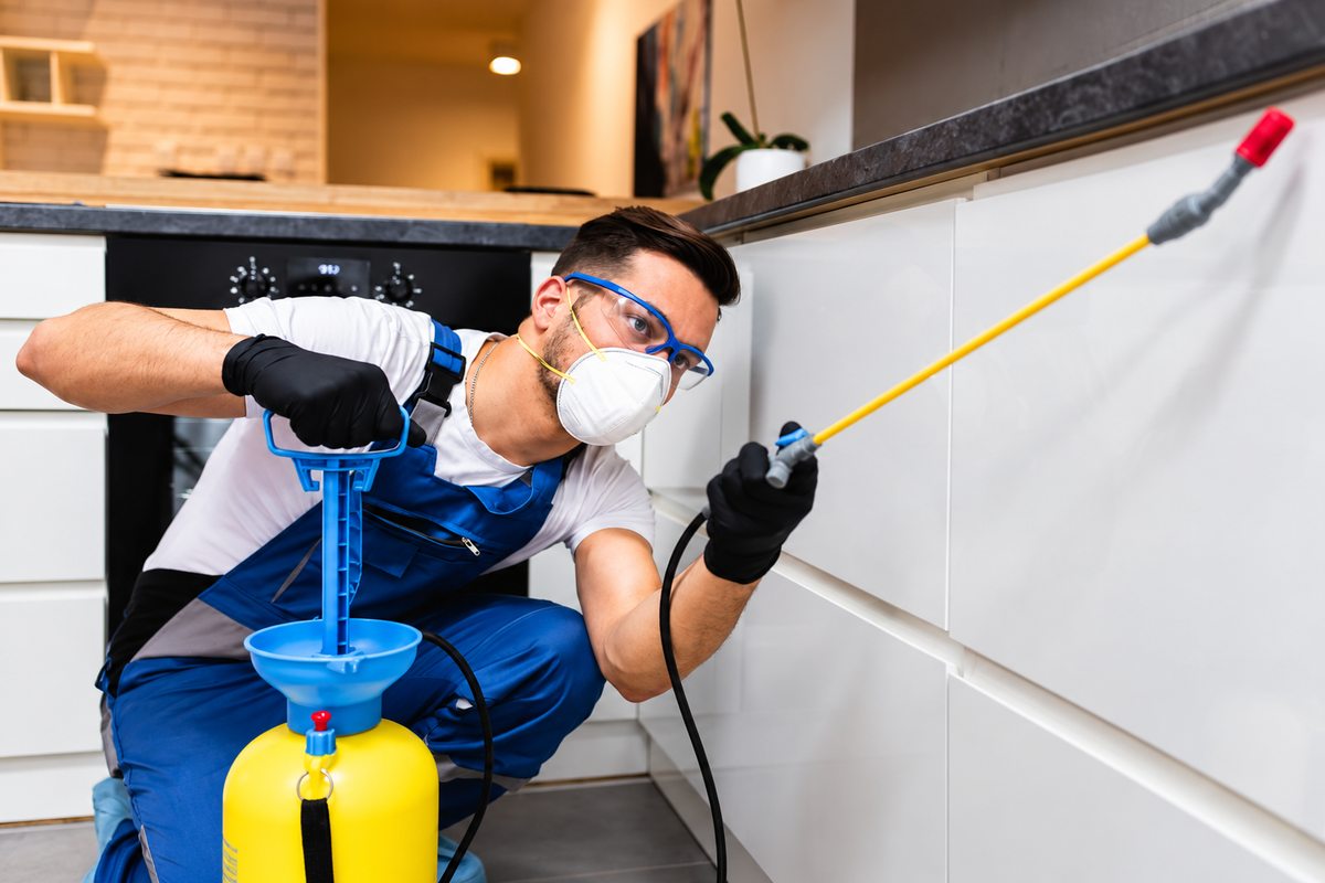 Protective equipment used during a targeted kitchen application.